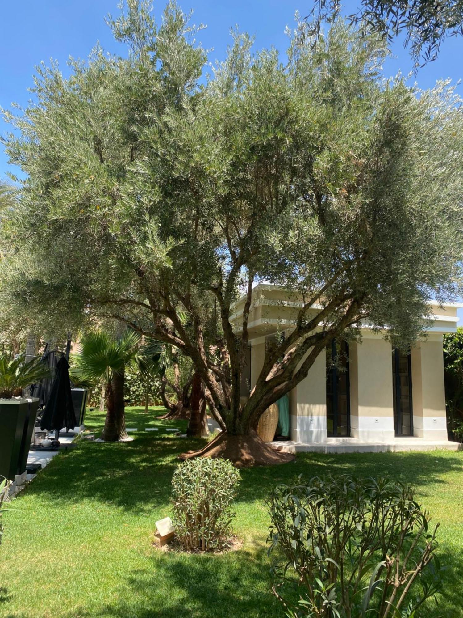 Villa Mano Lagouassem Eksteriør bilde